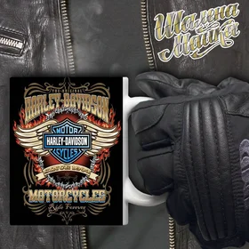 Прикольные кружки: Чашка Мото 056